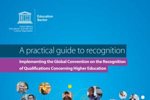 Cover Practical Guide to Recognition (UN)